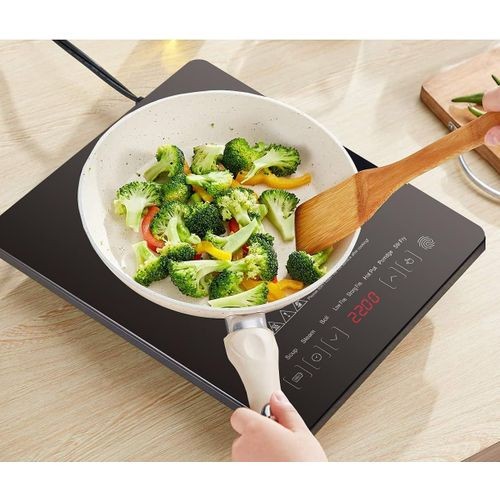 Cuisinière à Induction à Panneau Anti-Déflagrant électrique